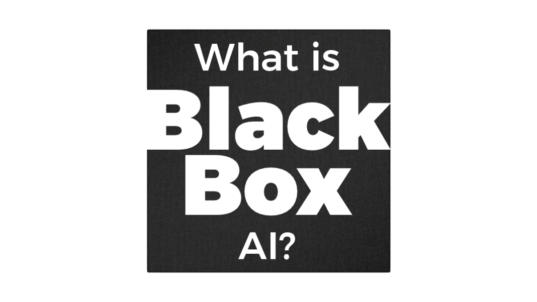 What is Black Box AI and How Does It Affect Modern Decision-Making?