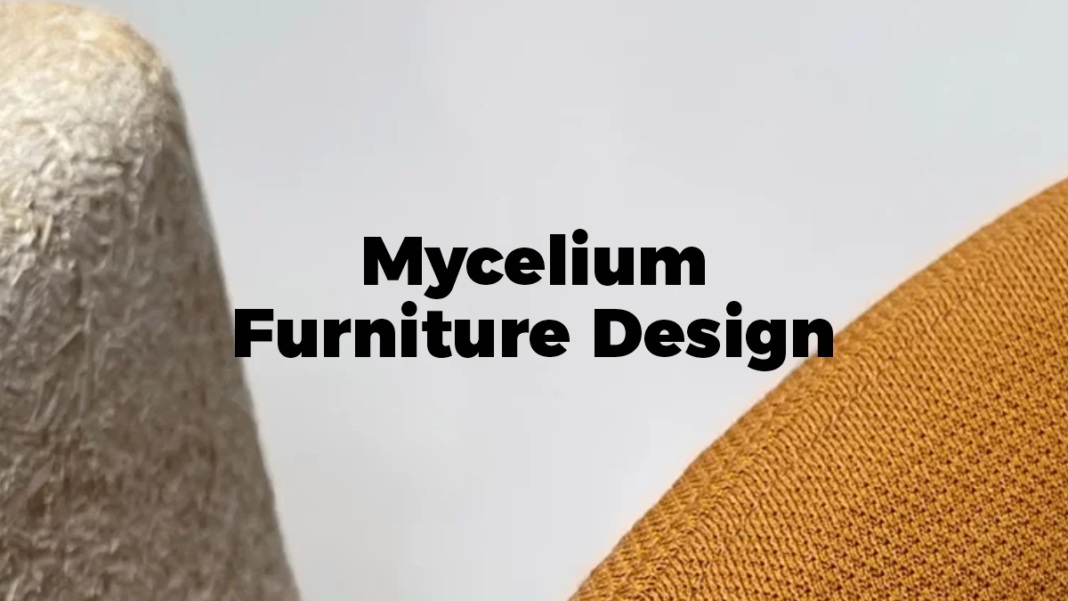 Mycelium Furniture Design